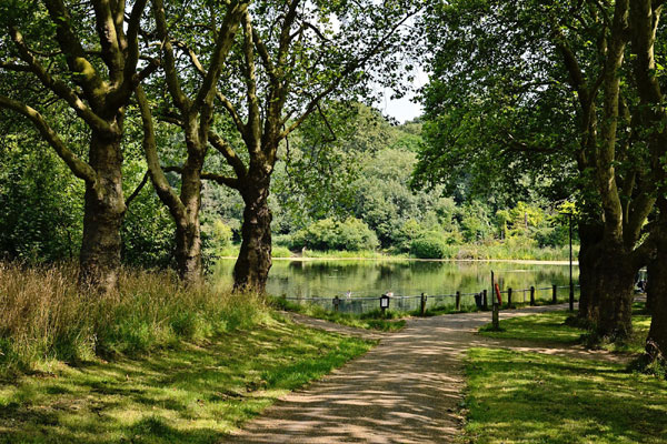 Photo5HampsteadHeath-cr