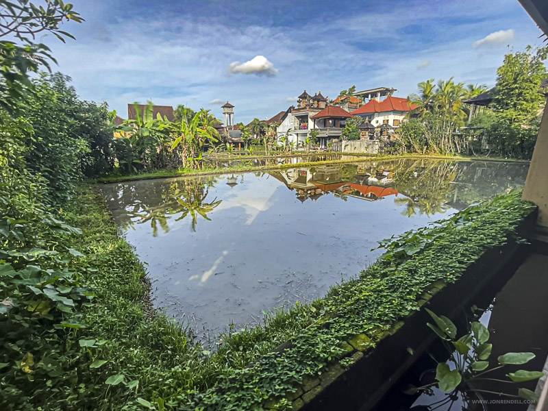 Ubud-3191