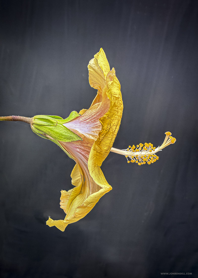 SCENE4--2